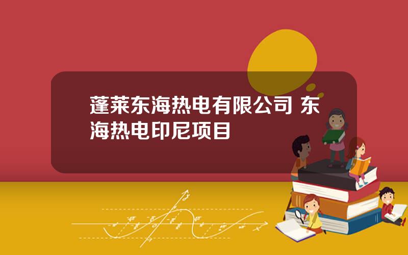 蓬莱东海热电有限公司 东海热电印尼项目